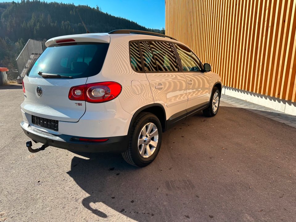 Vw Tiguan Track&Field 4Motion Scheckheft gepflegt in Titisee-Neustadt