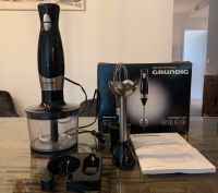 Grundig Stabmixer BL 5040 gebraucht Schleswig-Holstein - Bad Bramstedt Vorschau