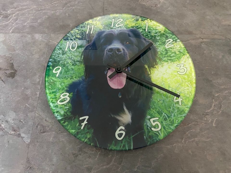 Personalisierte Uhr Hund Bulldogge Labrador Terrier Dackel Collie in Braunschweig