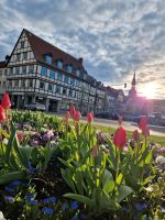 Wandern, Fahrradtouren, Ausflüge Niedersachsen - Wolfenbüttel Vorschau