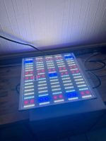 Caluma LED 150W Pflanzenlampe Growlicht Growbox Neuwertig Dresden - Pieschen Vorschau