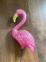 Flamingo für Blume Köln - Longerich Vorschau
