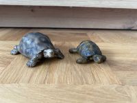 Schleich Schildkröten Essen - Essen-Ruhrhalbinsel Vorschau