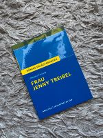 Frau Jenny Treibel - Analyse Interpretation - Königs Erläuterung Hessen - Fulda Vorschau