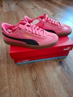 Puma Schuhe neu Sachsen - Krostitz Vorschau