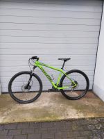 Cannondale Trail 7  29 Zoll Rheinland-Pfalz - Wittlich Vorschau