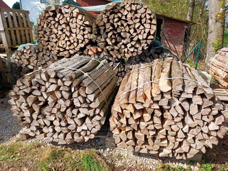 Brennholz trocken Buche/Erle in Kirchdorf a.d.Amper