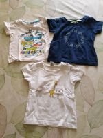 Baby T-Shirt und Pullover Größe 62/68 Dresden - Schönborn Vorschau