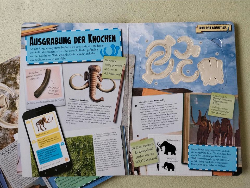 Bücher mit Skelett Modellen Mammut Säbelzahntiger in Tüßling