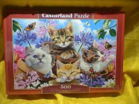 Puzzle 500 Teile Kittens with Flowers v. Castorland - neuwertig Nordrhein-Westfalen - Essen-Haarzopf Vorschau