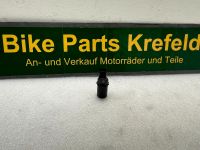 BMW E39 PDC Parksensor auch E38 und E53 Nordrhein-Westfalen - Krefeld Vorschau