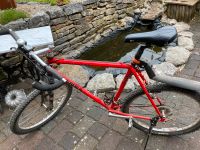 Liebhaber gesucht für Herren Mountain Bike NP 1000 € leicht Nordrhein-Westfalen - Siegen Vorschau