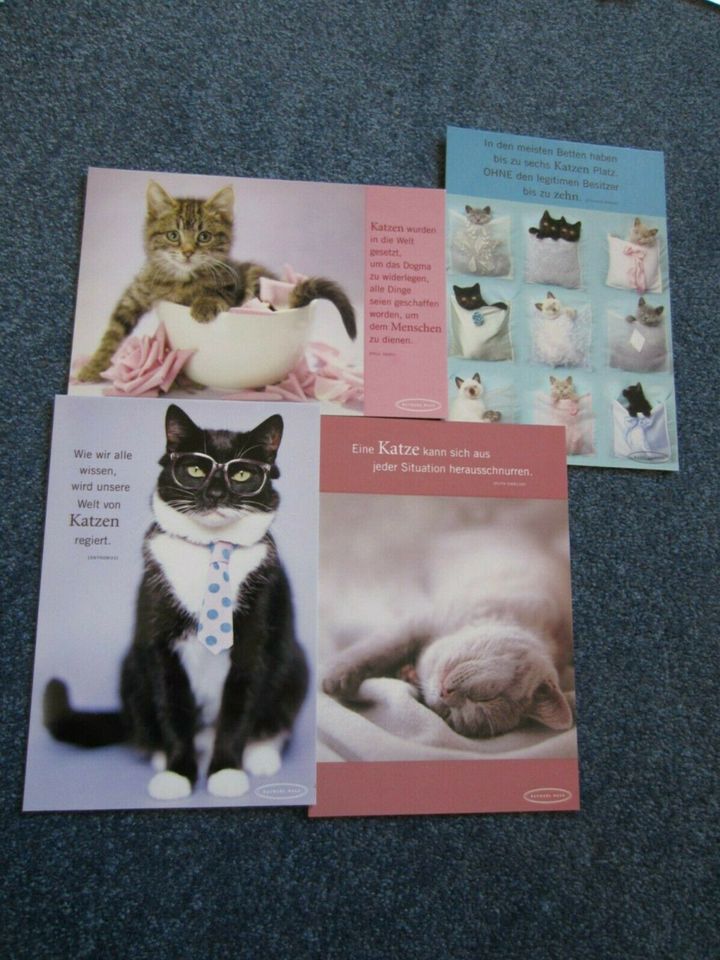 Katzen-Postkarten, diverse Motive, unbenutzt, 27 Stück in Marburg
