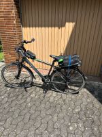 Herren E Bike von Zündapp Rheinland-Pfalz - Gemünden (Hunsrück) Vorschau