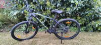 Scott Mountainbike 28" Niedersachsen - Beckdorf Vorschau