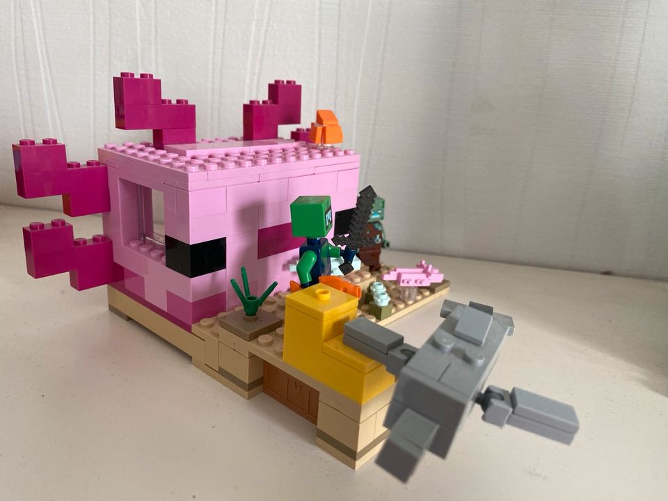 Lego minecraft axolotl Haus in Hamburg