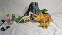 Playmobil 4170 Triceratops mit Baby und Vulkan Bad Zwischenahn - Ofen Vorschau