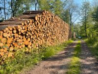 Stammholz Fichte vorgelagert Kaminholz Brennholz ✅ Nordrhein-Westfalen - Minden Vorschau