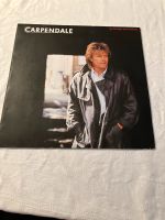 Carpendale LP 1987 Vinyl Rarität Bayern - Raubling Vorschau