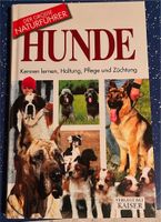 Buch Hunde Sachsen-Anhalt - Elbingerode (Harz) Vorschau