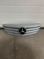 Mercedes W169 A-Klasse Kühlergrill A1698800783 Niedersachsen - Buchholz (Aller) Vorschau