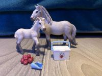 Schleich Island Pony Stute und Island Pony Fohlen mit Zubehör Nordrhein-Westfalen - Weilerswist Vorschau