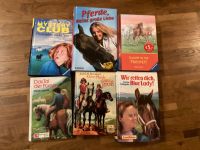 6 Pferde Bücher Mystery Club Pony meine große Liebe Galopp …. Baden-Württemberg - Sindelfingen Vorschau