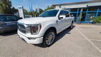 Ford F 150 Limited HYBRID 4x4 321kW NP 105.000,- € Bayern - Unterhaching Vorschau