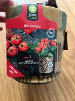 Bio Tomaten Anbauset Schwachhausen - Neu Schwachhausen Vorschau