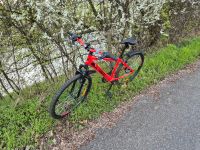 Mega Fahrrad 26 Zoll in neonpink in TOP Zustand Bayern - Thannhausen Vorschau