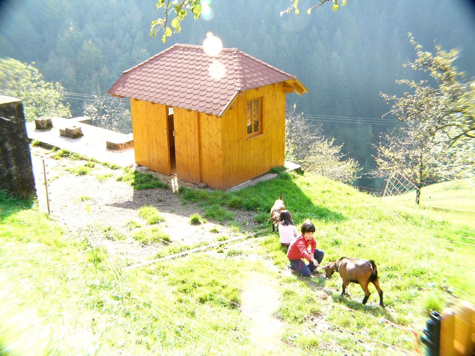 Ferienhaus im Schwarzwald in Alleinlage, Ferienwohnungen Panorama in Oppenau