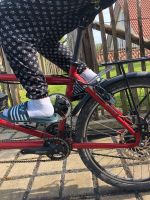 Tandem Kiddy Cranks/ Kinderkurbeln Nordrhein-Westfalen - Ense Vorschau