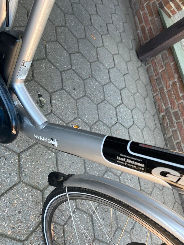 E-Bike von Giant hybrid gut erhalten Damen / Herren in Damme