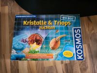 Kosmos - Experimentierkasten - Kristalle züchten Sachsen-Anhalt - Wanzleben Vorschau