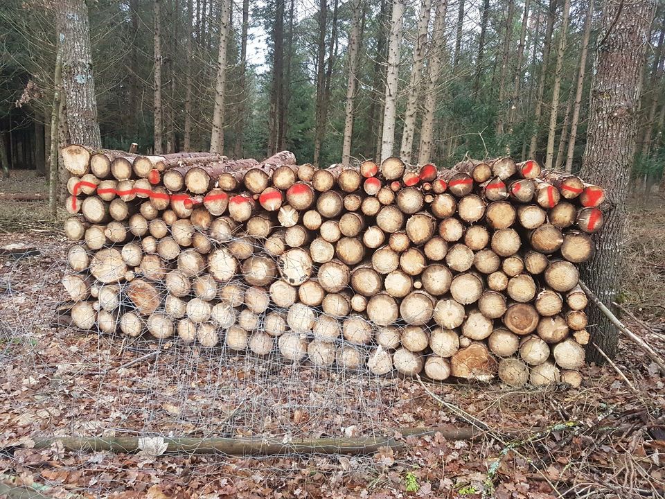 Brennholz Fichte Meterholz in Nagold