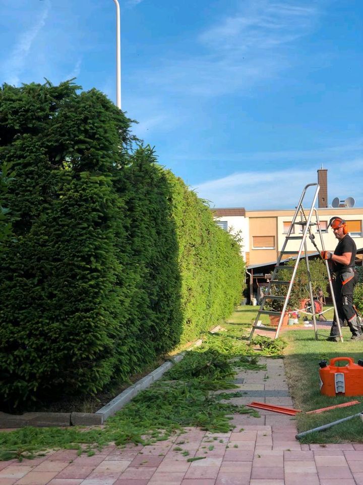 Baumfällung und Gartenpflege in Lahnstein