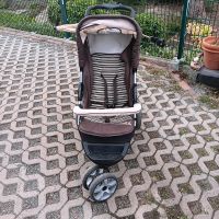 Buggy von Babywelt Thüringen - Greiz Vorschau