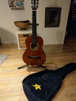 Gitarre Weltbild Special Edition inkl Ständer und Tasche Schleswig-Holstein - Scheggerott Vorschau