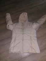 Winterjacke Adidas   Gr.40 Sachsen - Elbisbach Vorschau