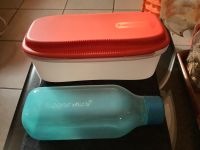 Tupperware rot 25 Euro / blau 13 Euro (Abhol Preis) Nordrhein-Westfalen - Hamm Vorschau