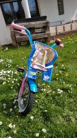 Baby born Fahrrad, Kinderfahrrad mit Puppensitz 12,5 Zoll Saarland - Schwalbach Vorschau