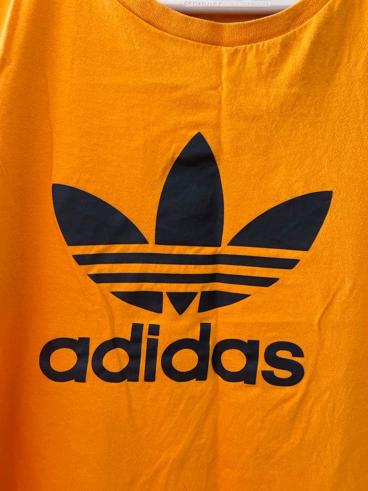 T-Shirt Adidas M in Störnstein