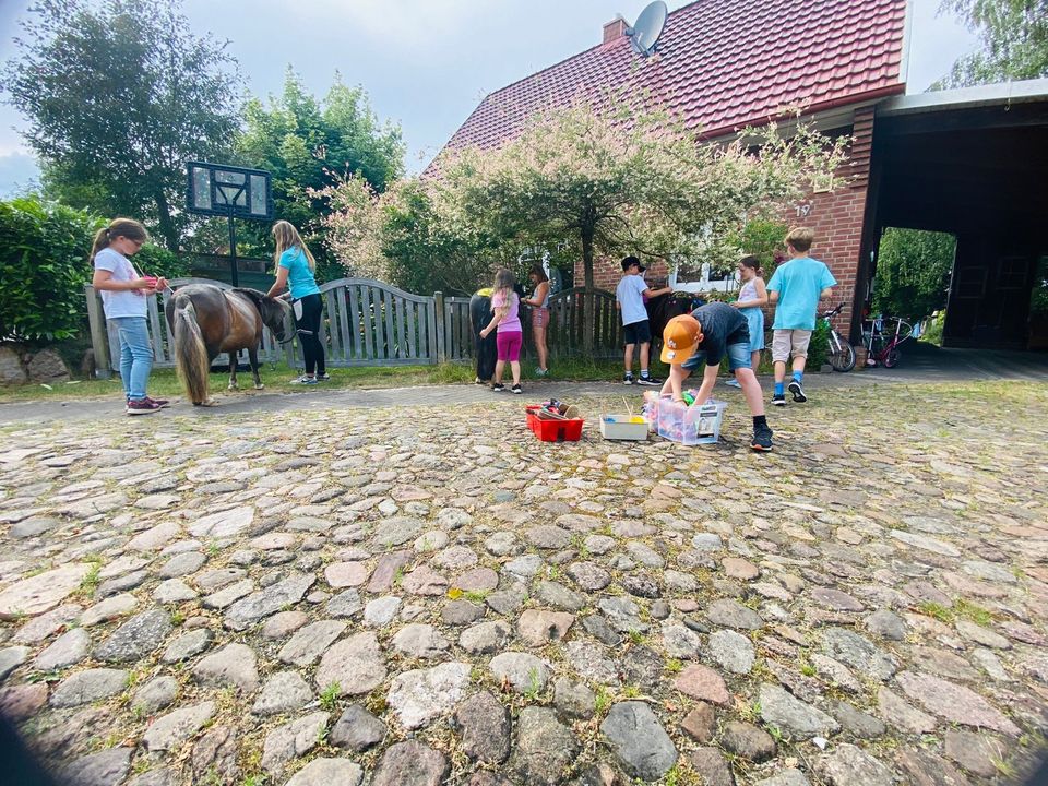 Ponygeburtstag Kindergeburtstag Ponyhof in Horneburg