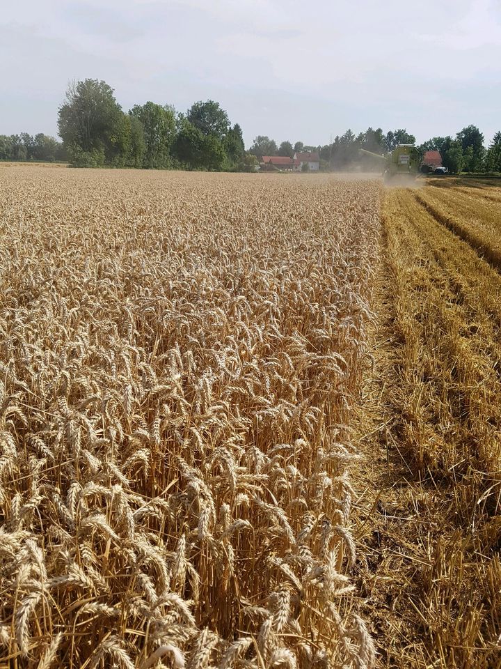 Acker - Grünland, Wiesen - Flächen pachten in Langenpreising