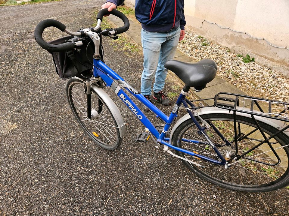 Buffalo Fahrrad in Delligsen