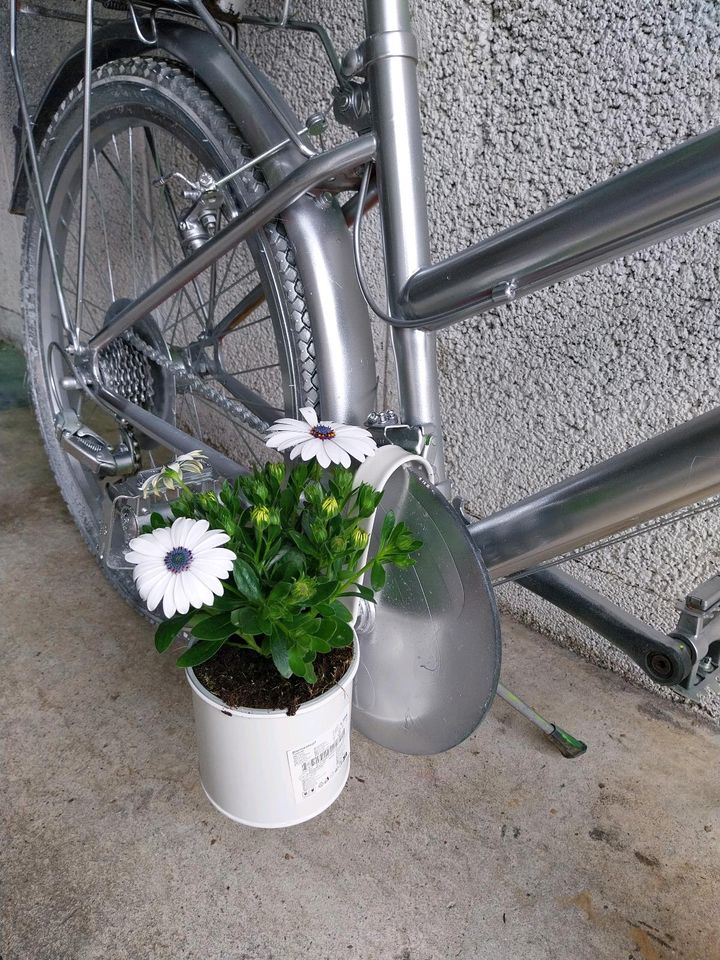 Fahrrad deko für Garten und Haus in Haßmersheim