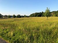 Traumhafte Lage im Naherholungsgebiet mit Blick zum Schwarzwald! Baden-Württemberg - Karlsbad Vorschau