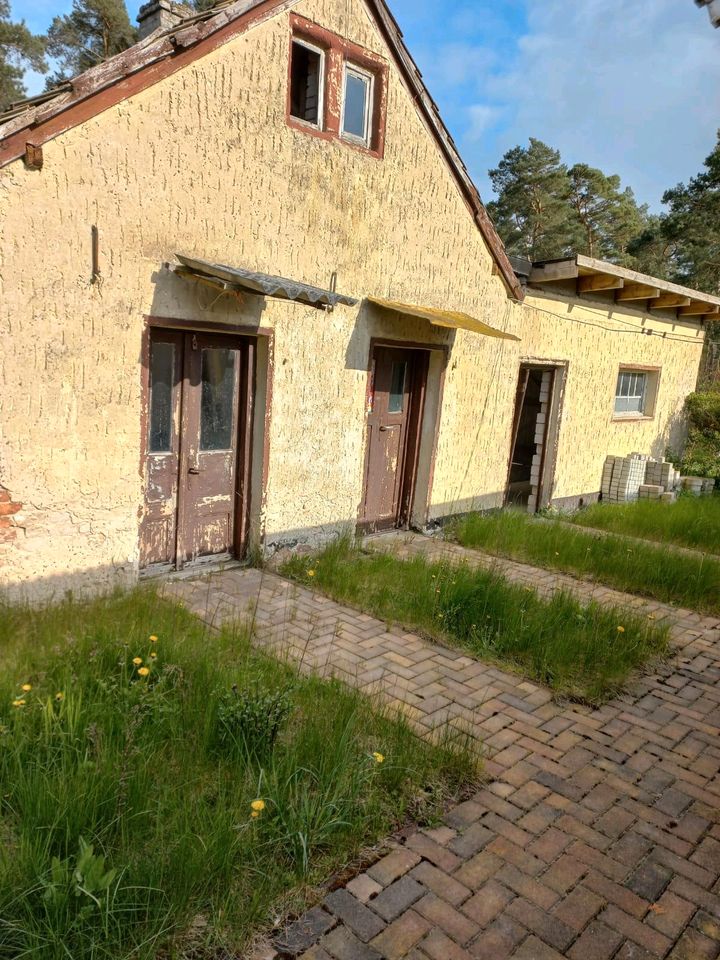 Einfamilienhaus Restaurationsobjekt ruhige Lage , Senzig in Senzig