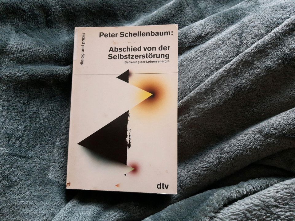 Buch "Abschied von der Selbstzerstörung" von Peter Schellenbaum in Bodenwöhr