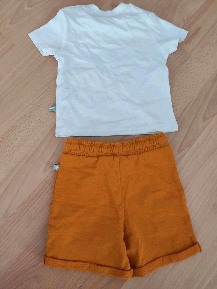Liegelind Baby Sommerset Jungs Gr 74 Shorts T-Shirt Safari in Ditzingen